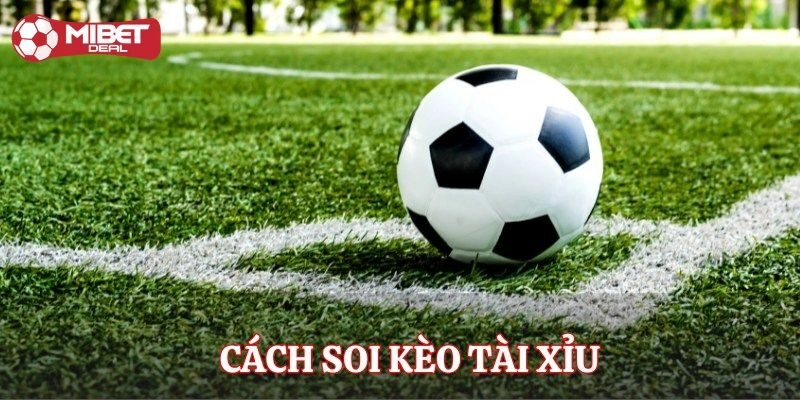 4 mẹo chơi kèo tài xỉu cho tân binh từ chuyên gia