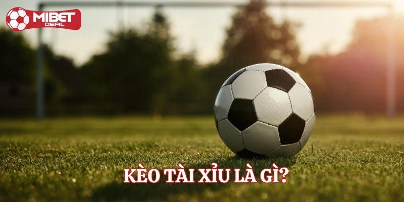 Thế nào là kèo tài xỉu? Bật mí về những điều chưa biết