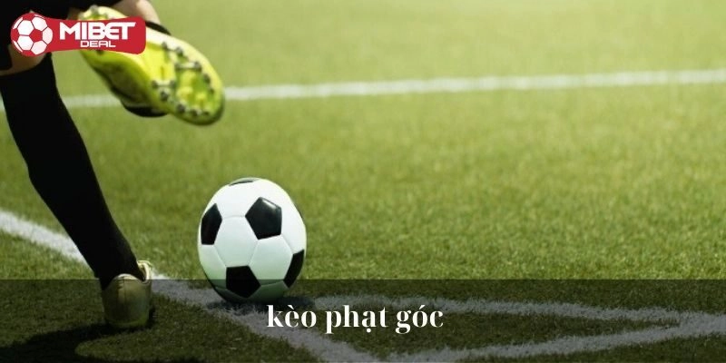 2 lưu ý chơi kèo phạt góc thắng lớn
